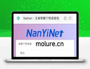 Nathan王者荣耀语音包查询工具开源代码-蓝海网