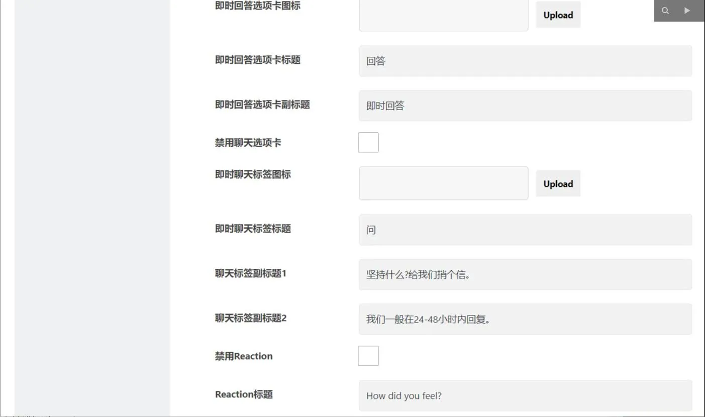 专业版中文支持