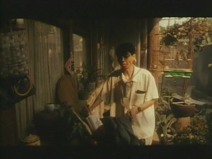 1996中国电影高清修复版