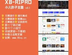 RiPro小八子主题v8.1：极致美化设计 功能全面升级-蓝海网