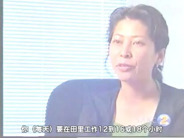波尔布特