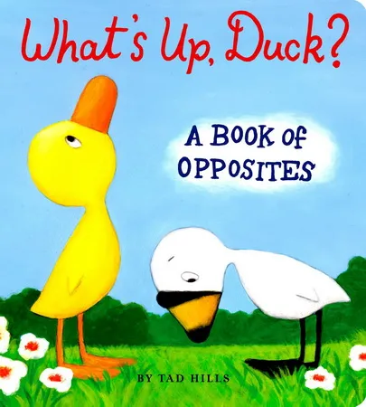 Duck and Goose 英文版