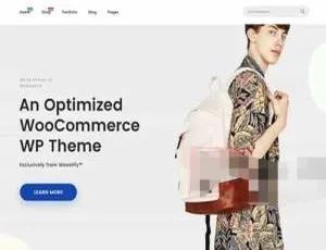 Woostify Pro 1.7.8 中文版 WordPress服装电商主题 WooCommerce企业模板-蓝海网