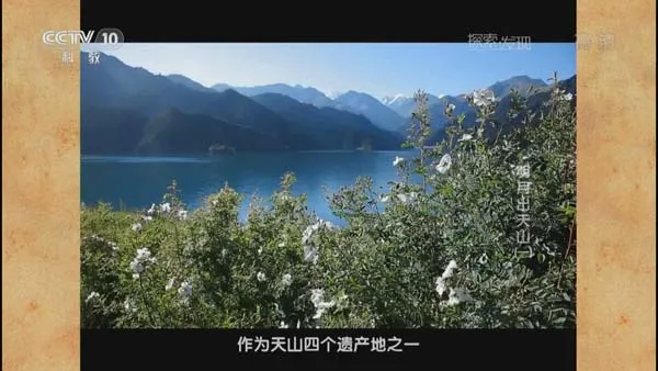 CCTV10探索发现