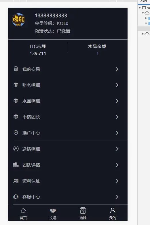 虚拟货币增值系统