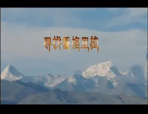 寻找香格里拉 全10集 1080P高清 国语中字纪录片