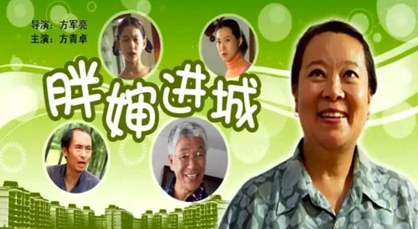 胖婶进城