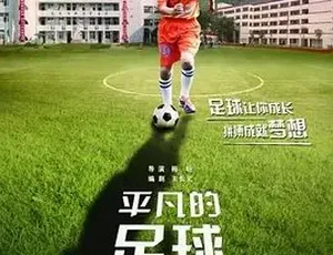 2016 平凡的足球 汉语普通话全1集高清完整版-蓝海网