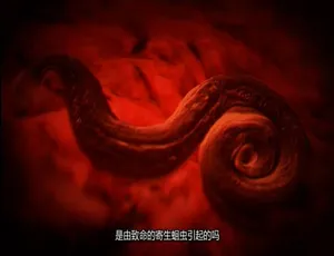 体内怪物病魔缠身第三季 全10集 1080P高清 英语中文字幕-蓝海网