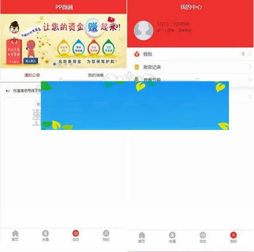 豹子CMS理财系统