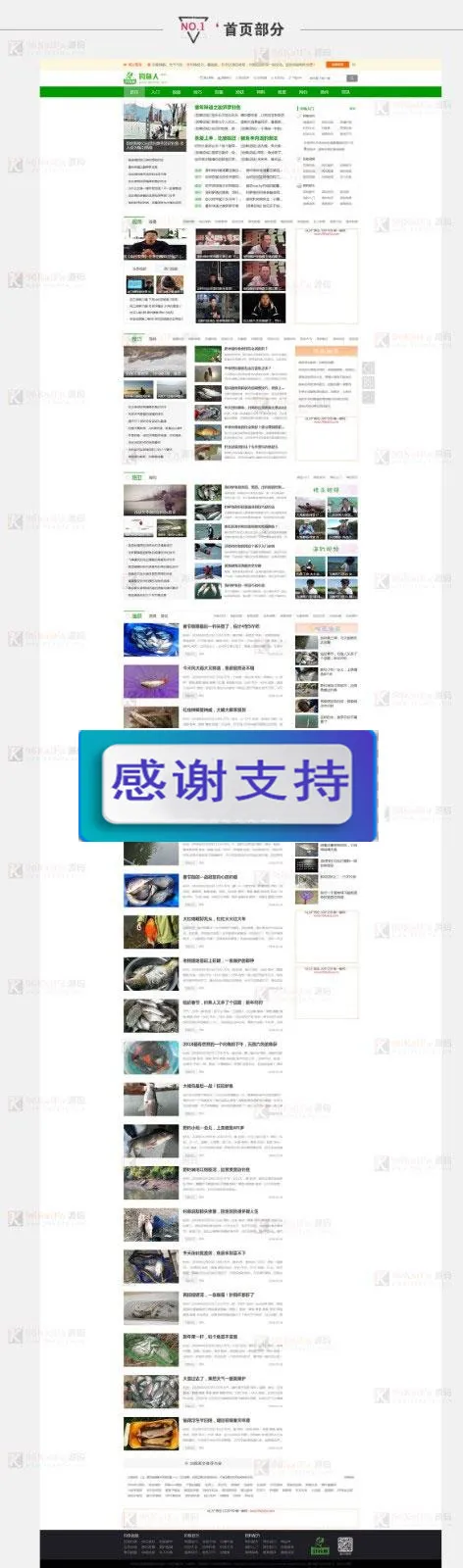 钓鱼视频网站源码