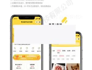 零点城市社交电商三端小程序V1.8.8微论坛系统v2.01开源版：轻量级社区平台高效搭建方案
