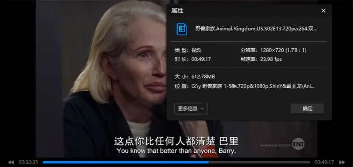 英语中字高清