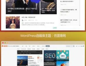 WordPress高效SEO自媒体主题 专业平台搭建 双模板快速收录