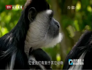语言星球：趣话 全4集 1080P高清 英语原声 中文字幕