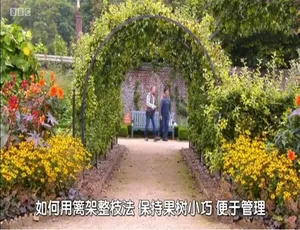 大不列颠园艺复兴纪录片 全2季共20集 720P高清英语中字-蓝海网