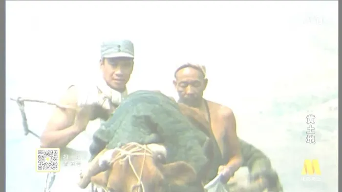 黄土地高清修复版