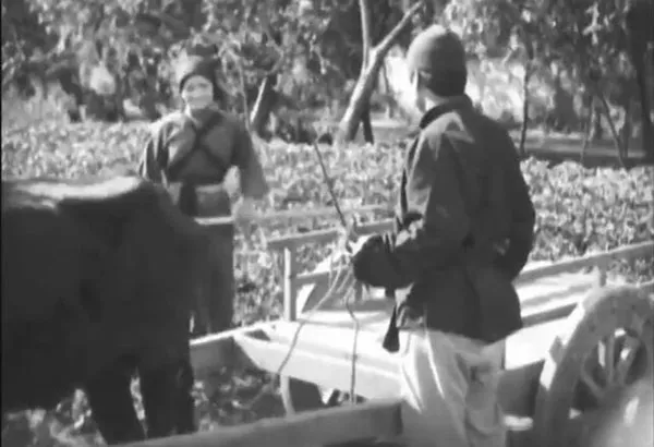 桃花泣血记1931