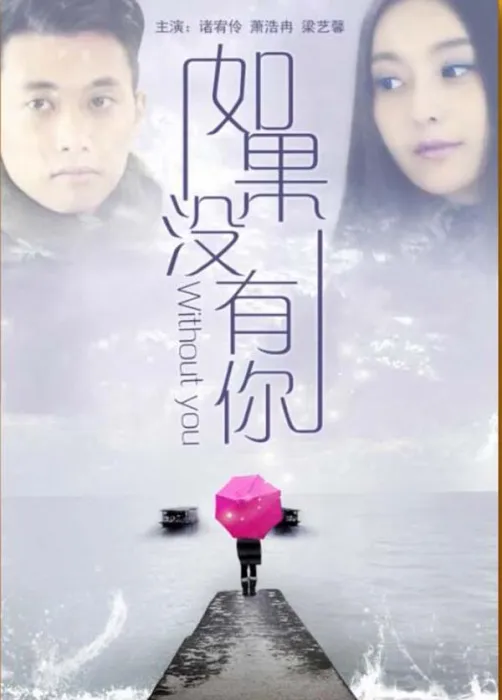 2013 中国大陆