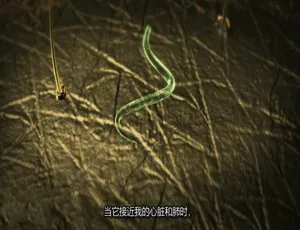体内的怪物 病魔缠身 第二季全10集 1080P高清 英语中字纪录片-蓝海网