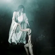 周迅陈坤画皮