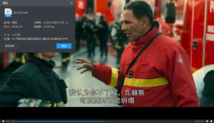 巴黎圣母院大火纪录片