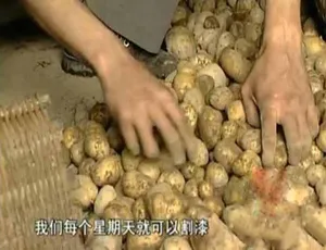 中国民间漆艺生存实录 纪录片全集-蓝海网