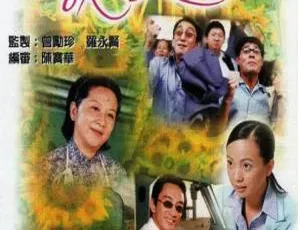 《Loving You 我爱你》2000 中国香港 TVB剧集