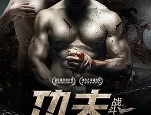 2013功夫战斗机 动作剧情片 真功夫对决激战（汉语普通话）-蓝海网
