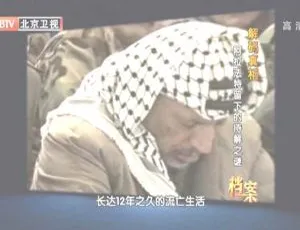 2012 BTV档案 阿拉法特之谜 真相解码 720p HDTV高清寻找香格里拉 全10集 1080P高清 国语中字纪录片