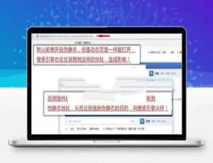 Discuz伪静态SEO优化插件V5.3 静态地址增强版-蓝海网