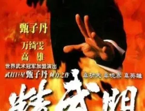 1995香港精武门甄子丹版30集全国语无字720p高清全集