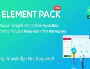 Element Pack Pro 7.4.0 中文汉化版 Elementor扩展工具 WordPress插件-蓝海网