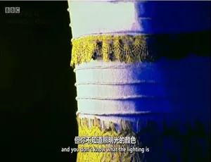 色彩的奥秘 全3集高清中英双语纪录片园艺世界 第四十六季 全31集 英语中字 720P