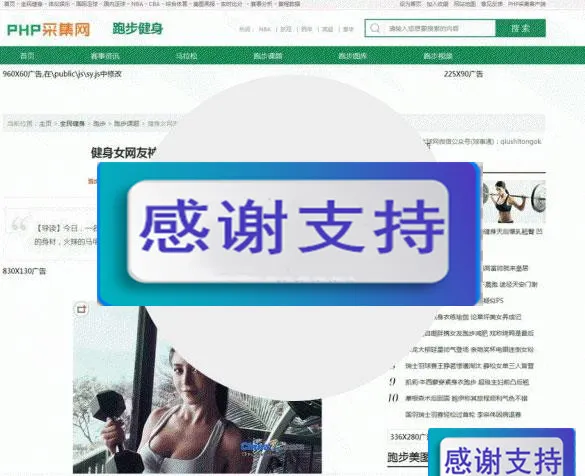 网站源码SEO优化