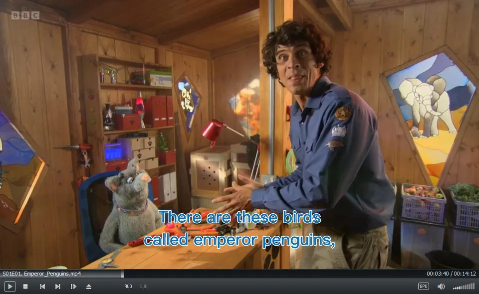 Andy’s Wild Adventures