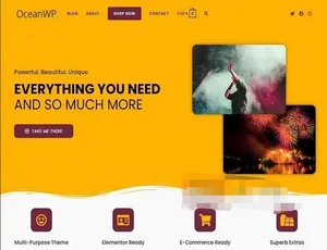 OceanWP Pro 3.3.6汉化中文版-多功能轻量级WooCommerce WordPress主题-蓝海网