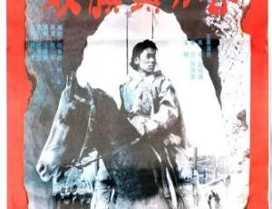 1991大陆武侠片双旗镇刀客国语中字高伟孙海英第五空间纪录片 全3集 720P高清 国语配音中文字幕