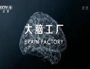大脑工厂 1080P高清纪录片 国语中字全1集纪录片此画怎讲第一季全30集 1080P高清 国语中字网络战2019 全两季24集 英语中文字幕纪录片