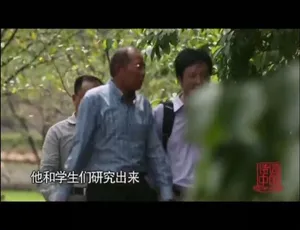 诗词中国全8集国语中字高清纪录片
