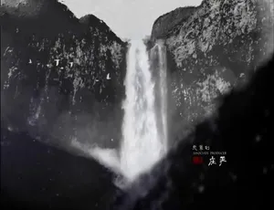 人参纪录片 1080P高清全5集 国语中文字幕完整版