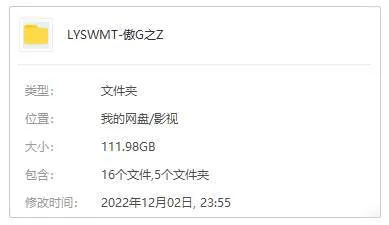 傲骨之战全五季
