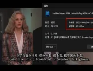 警探哈里/肮脏的哈里系列电影1-5部 华纳兄弟高清1080P 英语中文字幕-蓝海网