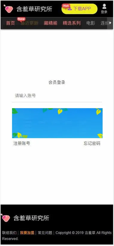 苹果CMSV10源码