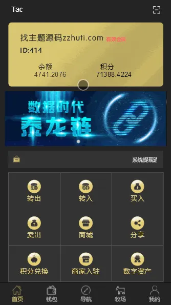 全球支付系统