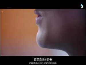 隐形者-数据时代打工人 2020 纪录片 4集全 中法双语字幕 原声配音1994 香港电影 红粉金刚 咏春 杨紫琼 甄子丹 李子雄 国语中字