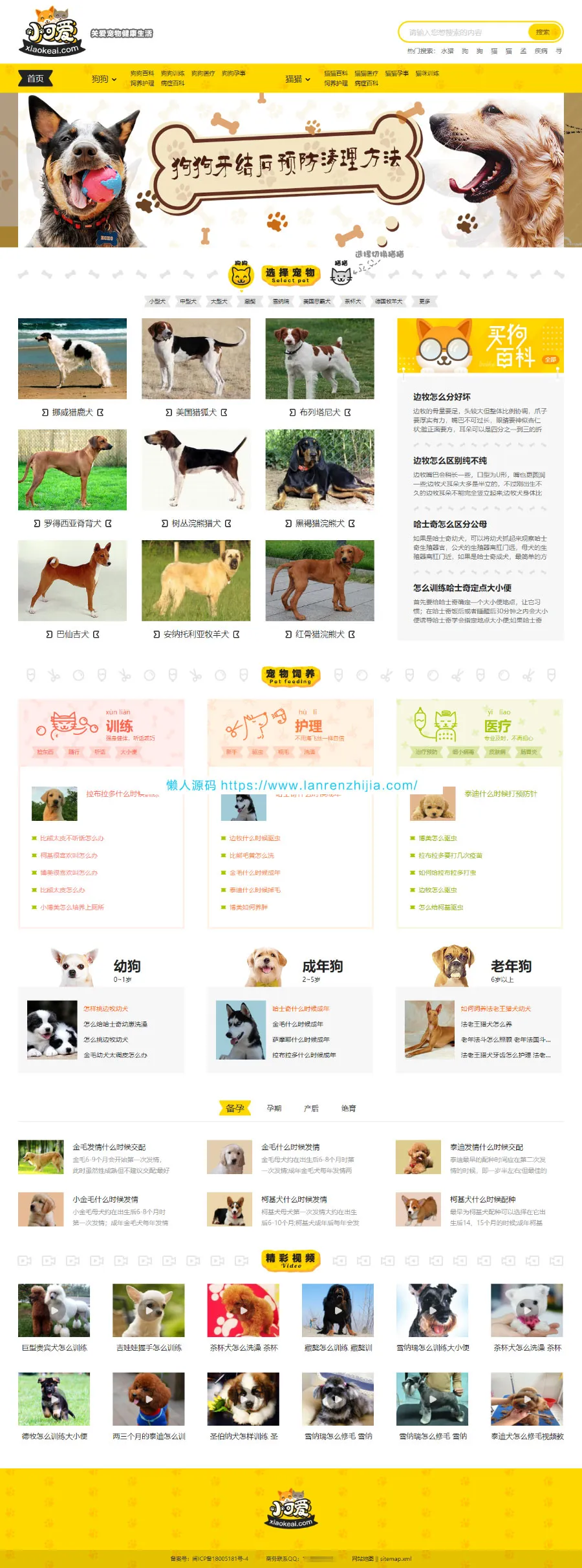 火车头采集系统