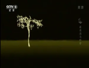 葡萄酒与科学纪录片 1080P高清国语中字全1集