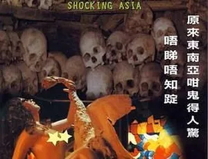 1976香港惊悚恐怖电影 古灵精怪东南亚 国语无字幕明天之前2019 纪录片全集 高清国语中字