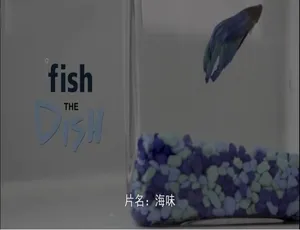 海味纪录片全30集 1080P高清 英语原声 中文字幕